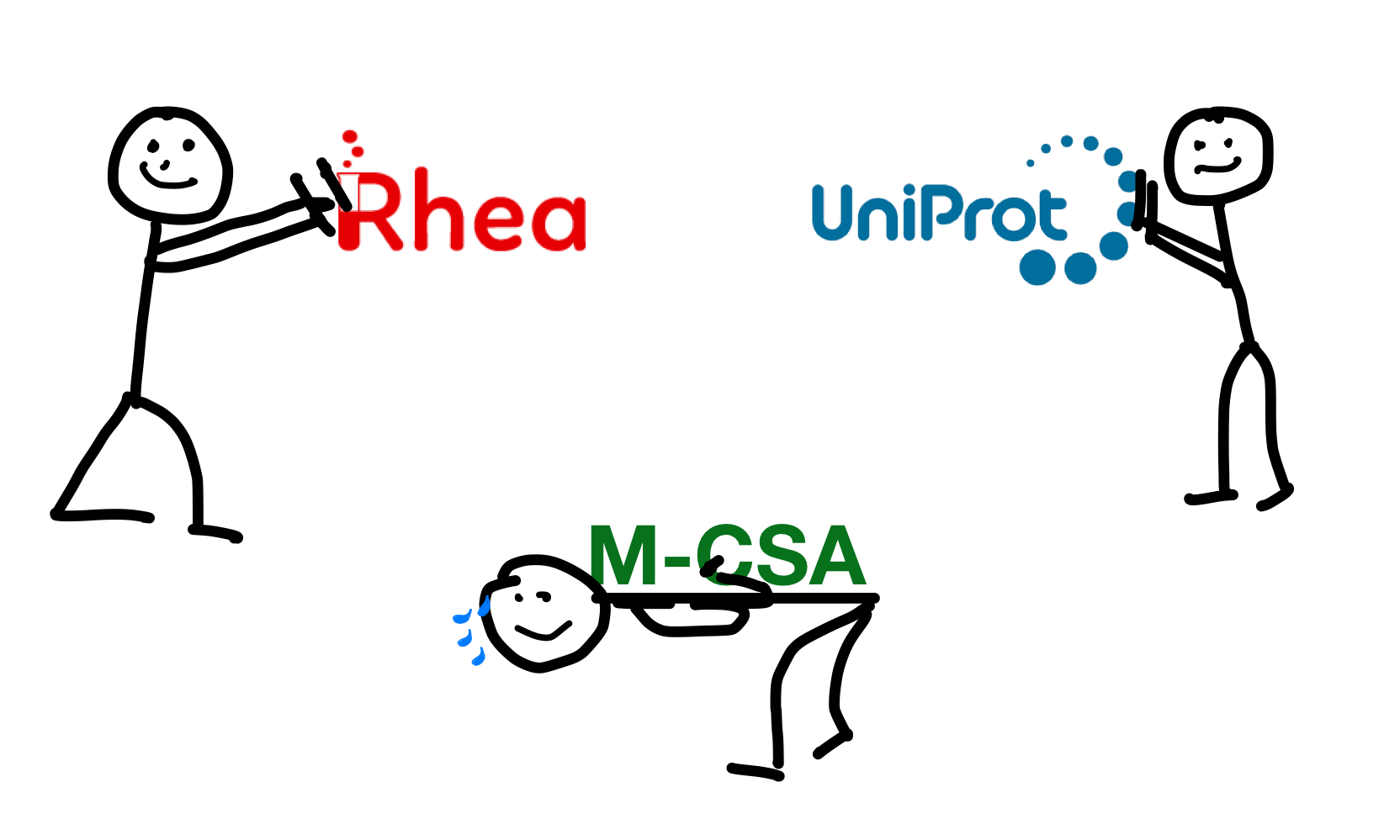 Project visualization